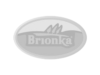 Brionka